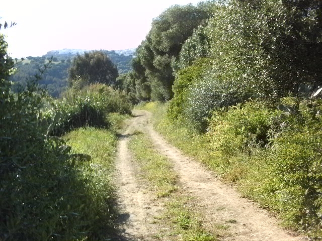 A walk by the River Barbate